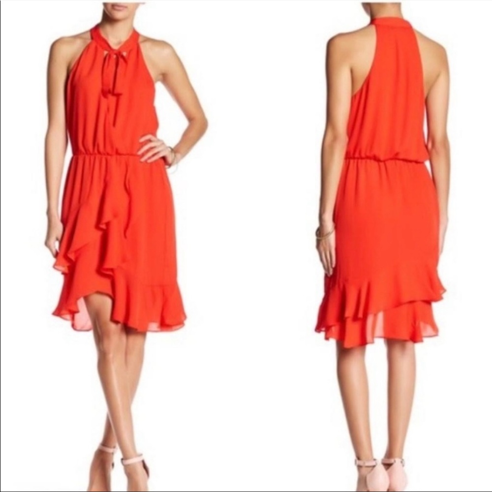 NWT Parker Diane Dress - Spice